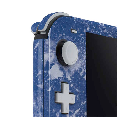 NHL Tampa Bay Lightning Frozen Nintendo Switch Lite Skin